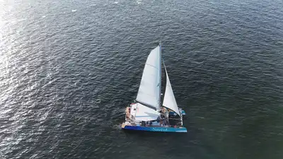 Expérience Cata Quiberon