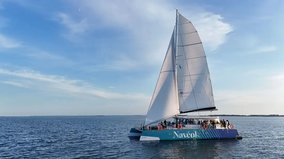 Catamaran Navéol - Golfe du Morbihan